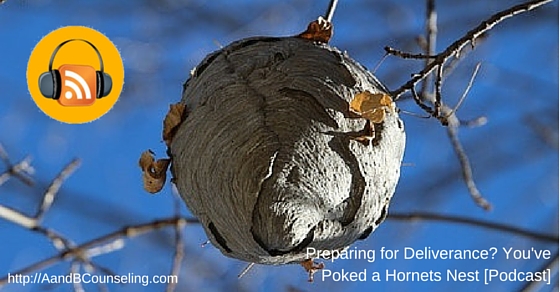Preparing for Deliverance? You've Poked a Hornets Nest [Podcast]