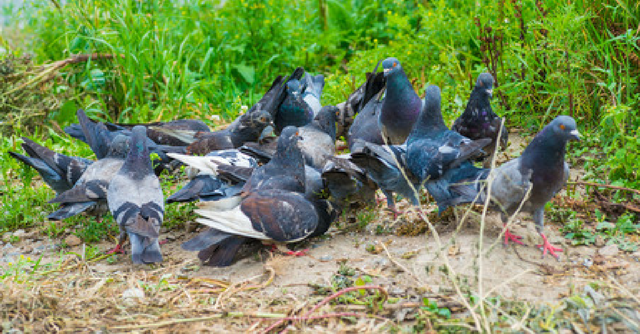 demons personal prophetic